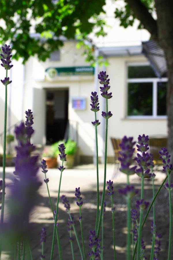 Hotel Luebsche Thorweide à Wißmar Extérieur photo